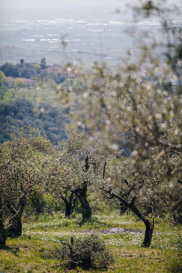 Villa Desiderio Tuscany Pistoia Dış mekan fotoğraf