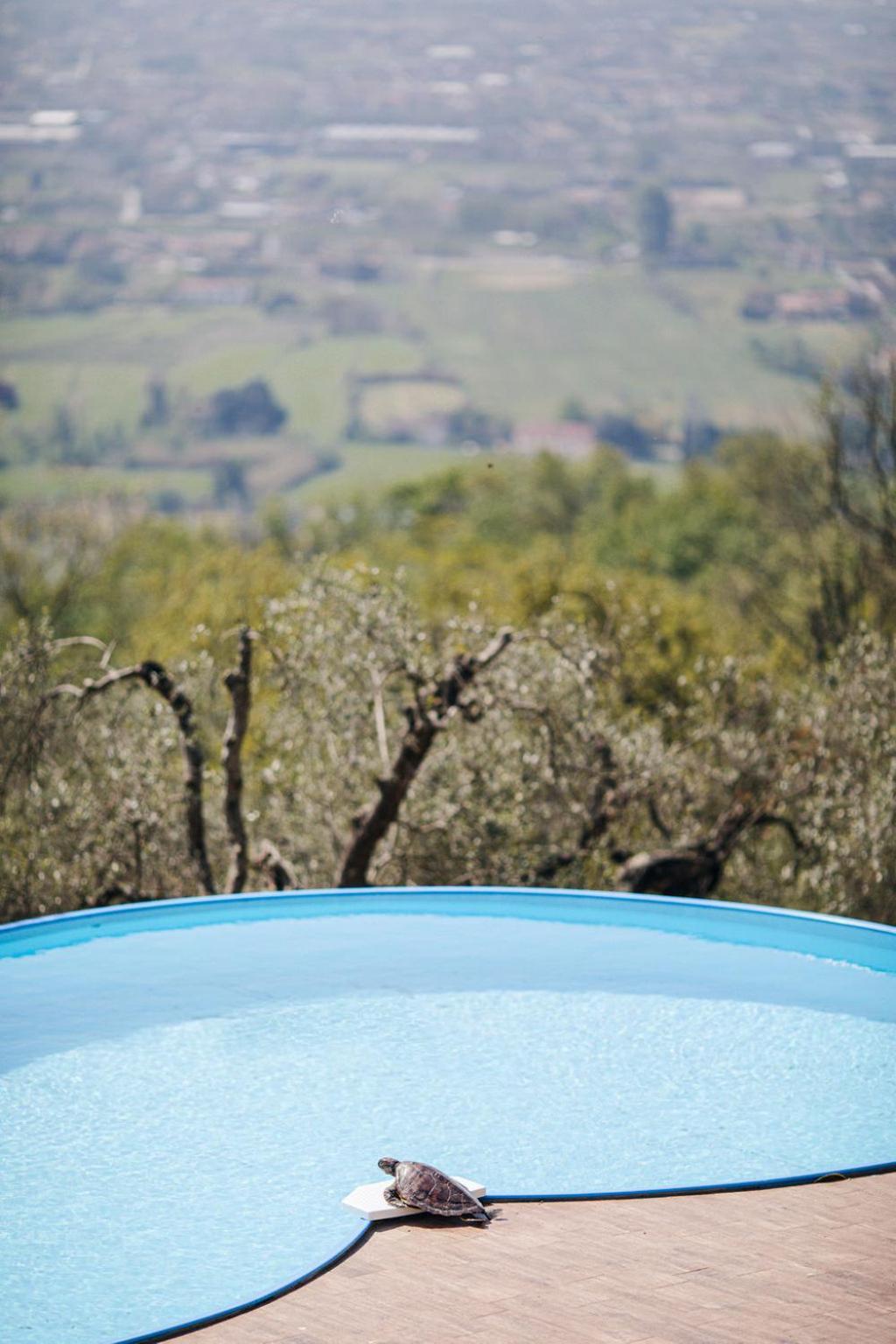Villa Desiderio Tuscany Pistoia Dış mekan fotoğraf