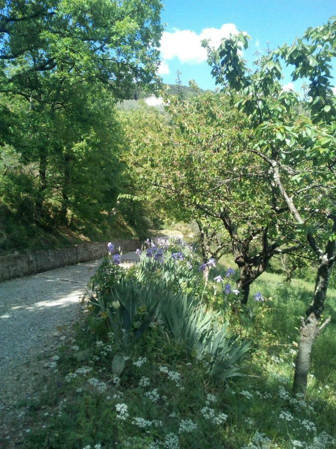 Villa Desiderio Tuscany Pistoia Dış mekan fotoğraf